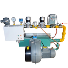 Reliable Industrial Gas Burner for High-Efficiency Performance