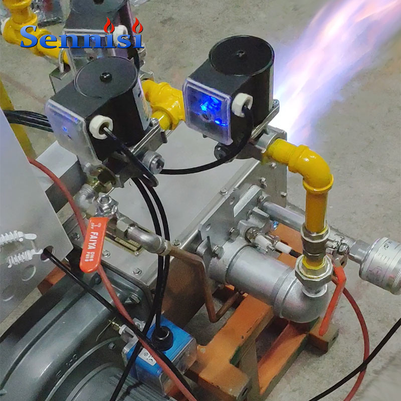Hot spray chamber curing furnace dedicated heating burner
